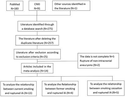 The Biological Effects of Smoking on the Formation and Rupture of Intracranial Aneurysms: A Systematic Review and Meta-Analysis